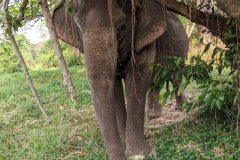 Peek a Boo, Exploring the grounds of the Sanctuary