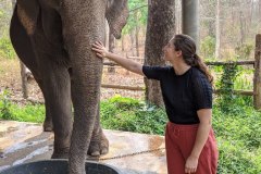 Making Friends, Elephant Sanctuary